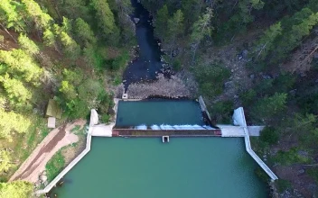 Stock Video Aerial View Over A Dam Between A Pine Forest for PC
