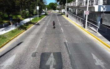 Stock Video Aerial Walk Along A Path In A Sunny Park for PC