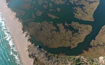 Stock Video Beach And Land Formations For PC