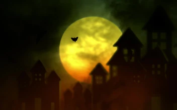Stock Video Bats Flying In A Mysterious Night For PC