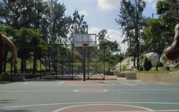 Stock Video Basketball Players Training For PC