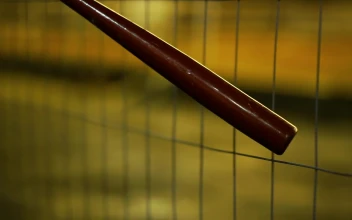 Stock Video Baseball Bat On A Wire Fence For PC