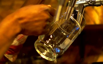 Stock Video Bartender Serving Beer On A Beer Mug For PC