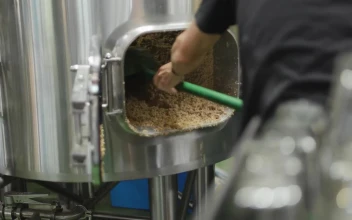 Stock Video Barley Shovelled Out Of A Tank For PC
