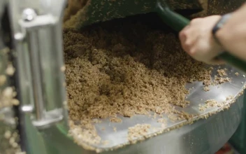 Stock Video Barley Coming Out Of A Tank For PC
