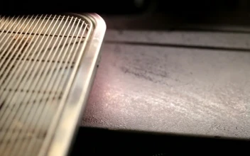 Stock Video Barista Pressing Coffee For PC