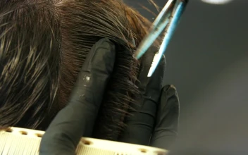 Stock Video Barber Cutting Clients Wet Hair With Scissors For PC