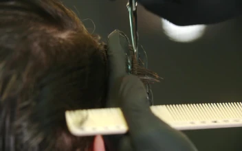 Stock Video Barber Cutting Clients Hair With Scissors For PC
