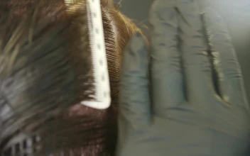 Stock Video Barber Brushing Clients Hair For PC