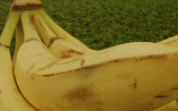 Stock Video Banana Bunch Rotating Slowly For PC