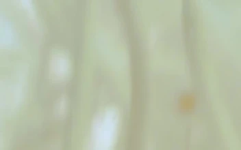 Stock Video Bacteria On The Move For PC