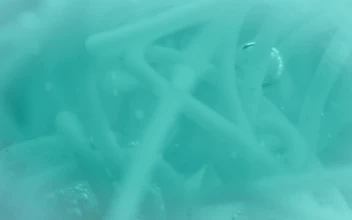 Stock Video Bacteria In Liquid For PC