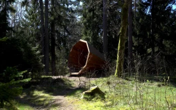 Stock Video Backpacker Walking In The Forest For PC