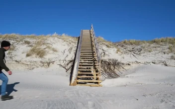 Stock Video Backpacker Climbing The Stairs For PC