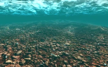 Stock Video Background With Rocks Under Clear Water In d For PC