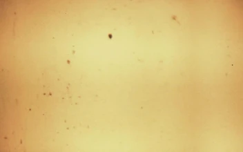 Stock Video Background Texture Of An Old Film For PC