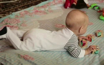 Stock Video Baby Playing With Cubes Over A Blanket For PC