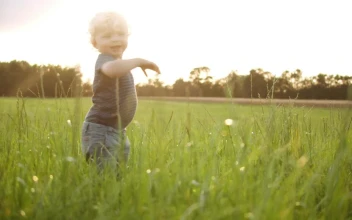 Stock Video Baby Boy With Blonde Hair For PC