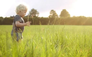 Stock Video Baby Boy Playing With Grass For PC