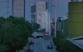 Stock Video Avenue With Trees Buildings And Fast Cars At Dusk For PC