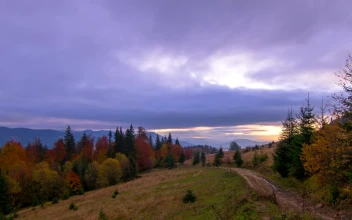 Stock Video Autumn Hills At Sunrise For PC