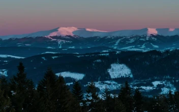 Stock Video Aurora On The Skyline Of A Winter Landscape For PC