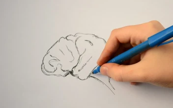 Stock Video Artist Drawing A Human Brain For PC