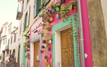 Stock Video Art Gallery With Hanging Flowerpots In The Wall For PC