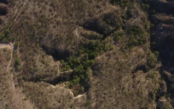 Stock Video Arid Environment With Trees From Above For PC