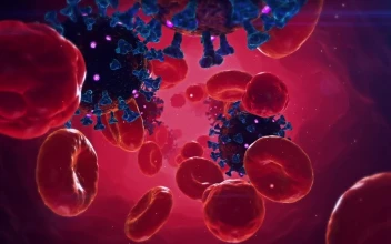 Stock Video Animation Of Viruses Infecting The Human Body For PC