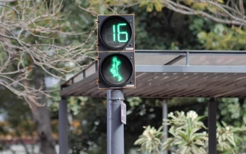Stock Video Animated Pedestrian Traffic Light With A Reverse Timer For PC