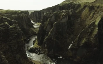 Stock Video Ancient Canyon Covered In Moss For PC