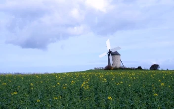 Stock Video An Old Windmill In The Field For PC
