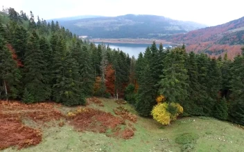 Stock Video An Autumn Forest And Lake Landscape For PC