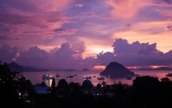 Stock Video Amazing Pink Sunset On A Tropical Landscape For PC