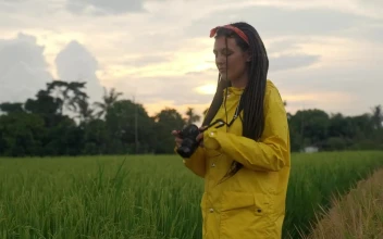 Stock Video Amateur Photographer Shooting In The Nature For PC
