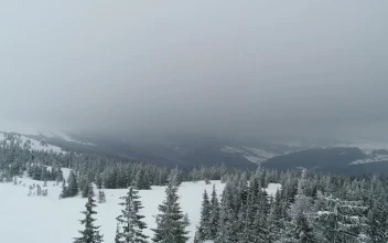Stock Video Alps During A Harsh Winter For PC