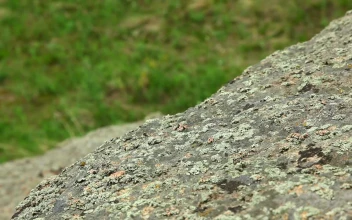 Stock Video Alpinist With Gloves Climbing A Big Rock For PC