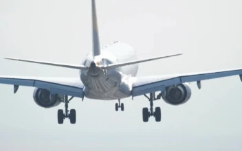 Stock Video Airplane Landing Rear View For PC