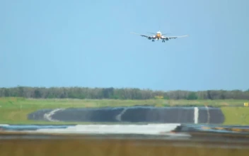 Stock Video Airplane Landing In A Clear Day For PC