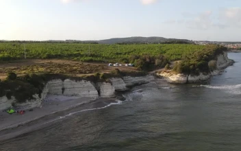 Stock Video Air Tour A Coast With A Forest And Camp For PC
