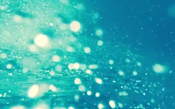 Stock Video Air Bubbles Underwater Upside Video For PC
