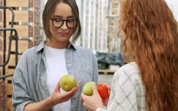 Stock Video Agronomists Reviewing The Quality Of Vegetables For PC