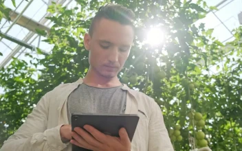 Stock Video Agronomist Using A Tablet In The Greenhouse For PC