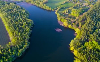 Stock Video Agriculture Field And Trees Between A River For PC