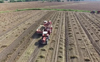 Stock Video Agricultural Vehicles Working In The Field For PC