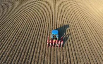 Stock Video Agricultural Tractor In The Field For PC