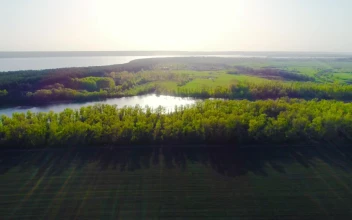 Stock Video Agricultural Fields With Green Grass Near A River For PC
