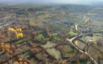 Stock Video Agricultural Fields In The Autumn Season For PC
