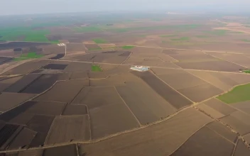 Stock Video Agricultural Fields And Towns From The Air For PC